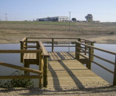 Puentes y pasarelas, Embarcadero I