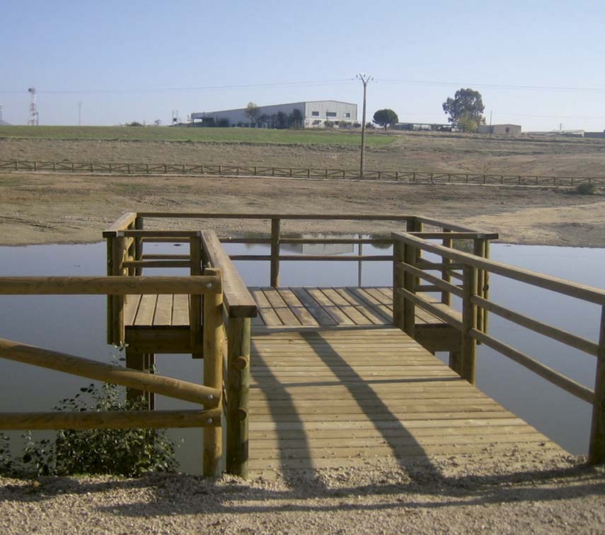 Puentes y pasarelas, Embarcadero I