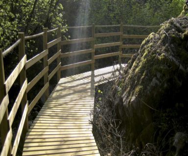 Puentes y pasarelas, Pasarela I