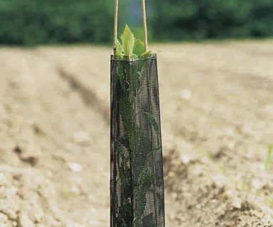 Climatex