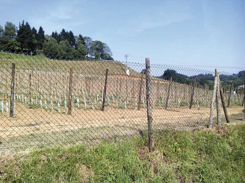 Protección perimetral