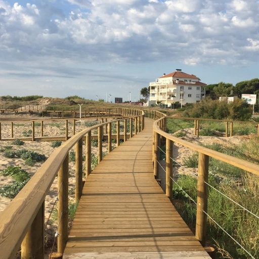 BIENVENIDAS PLAYAS, estamos deseando volver a viviros