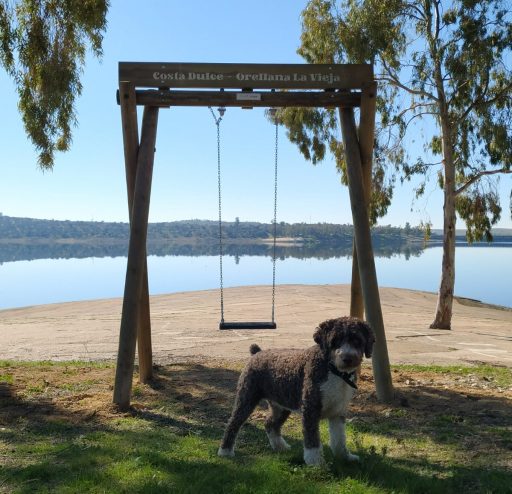 Columpios divertidos y fotogénicos: una nueva forma de disfrutar de las playas de Badajoz