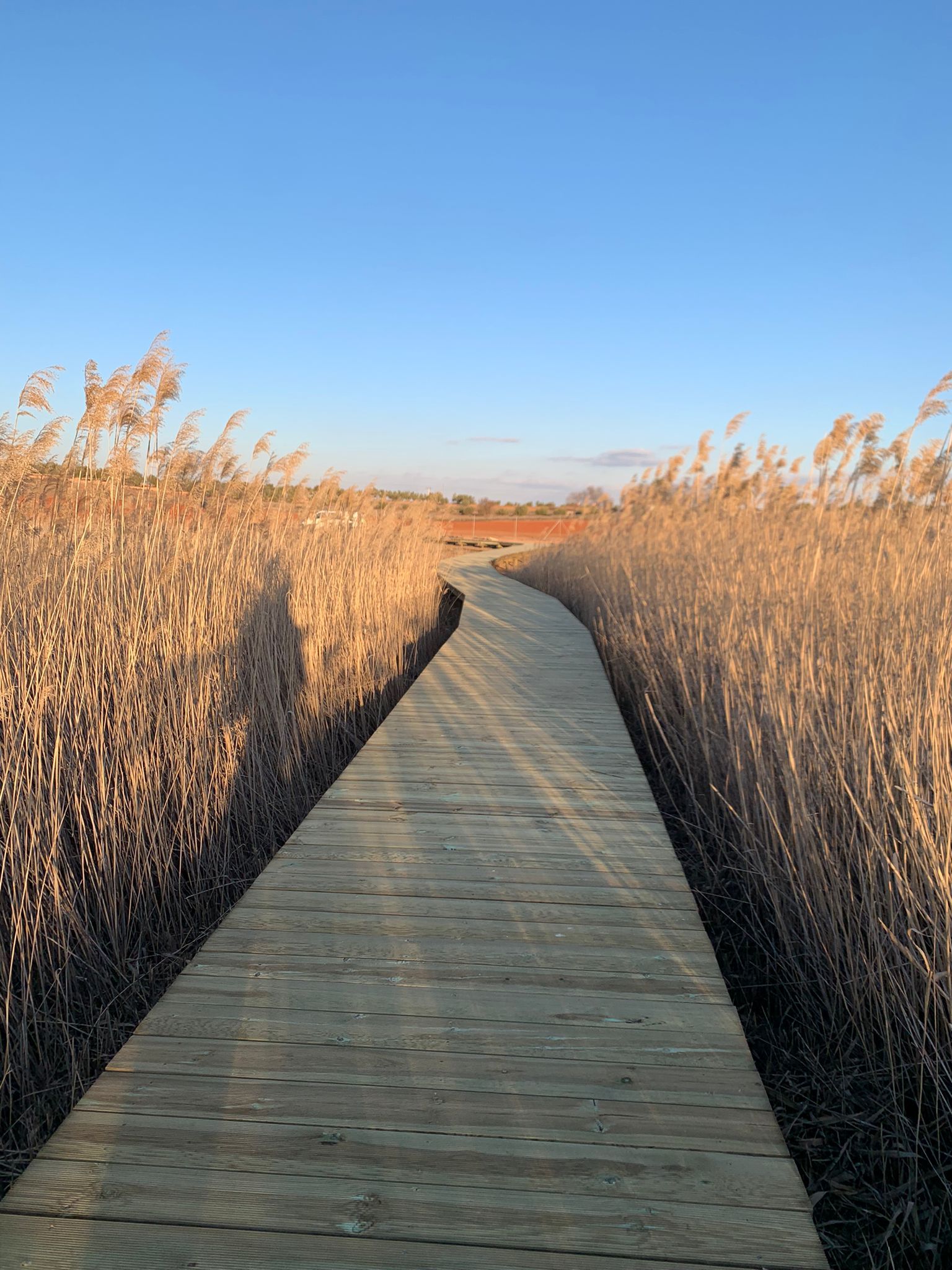 atardecer en la pasarela peatonal lagunas Villafranca de los Caballeros 3