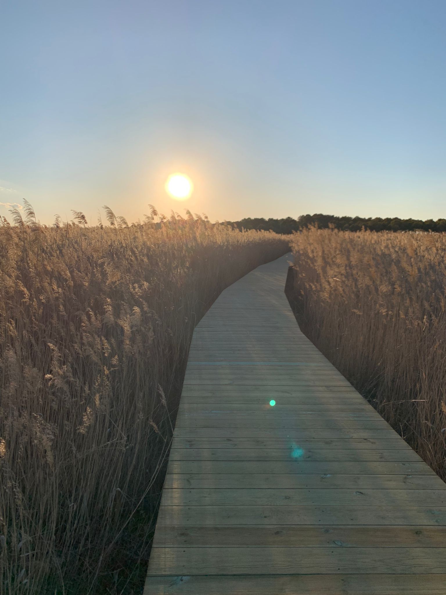 atardecer en la pasarela peatonal lagunas Villafranca de los Caballeros 2