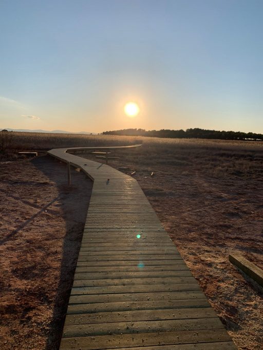 atardecer en la pasarela peatonal lagunas Villafranca de los Caballeros 5
