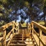 Observatorio de aves en madera tratada: funcionalidad e integración en el paisaje