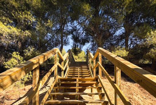 Observatorio de aves en madera tratada: funcionalidad e integración en el paisaje