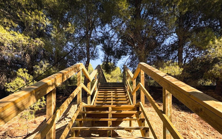 Observatorio de aves en madera tratada: funcionalidad e integración en el paisaje